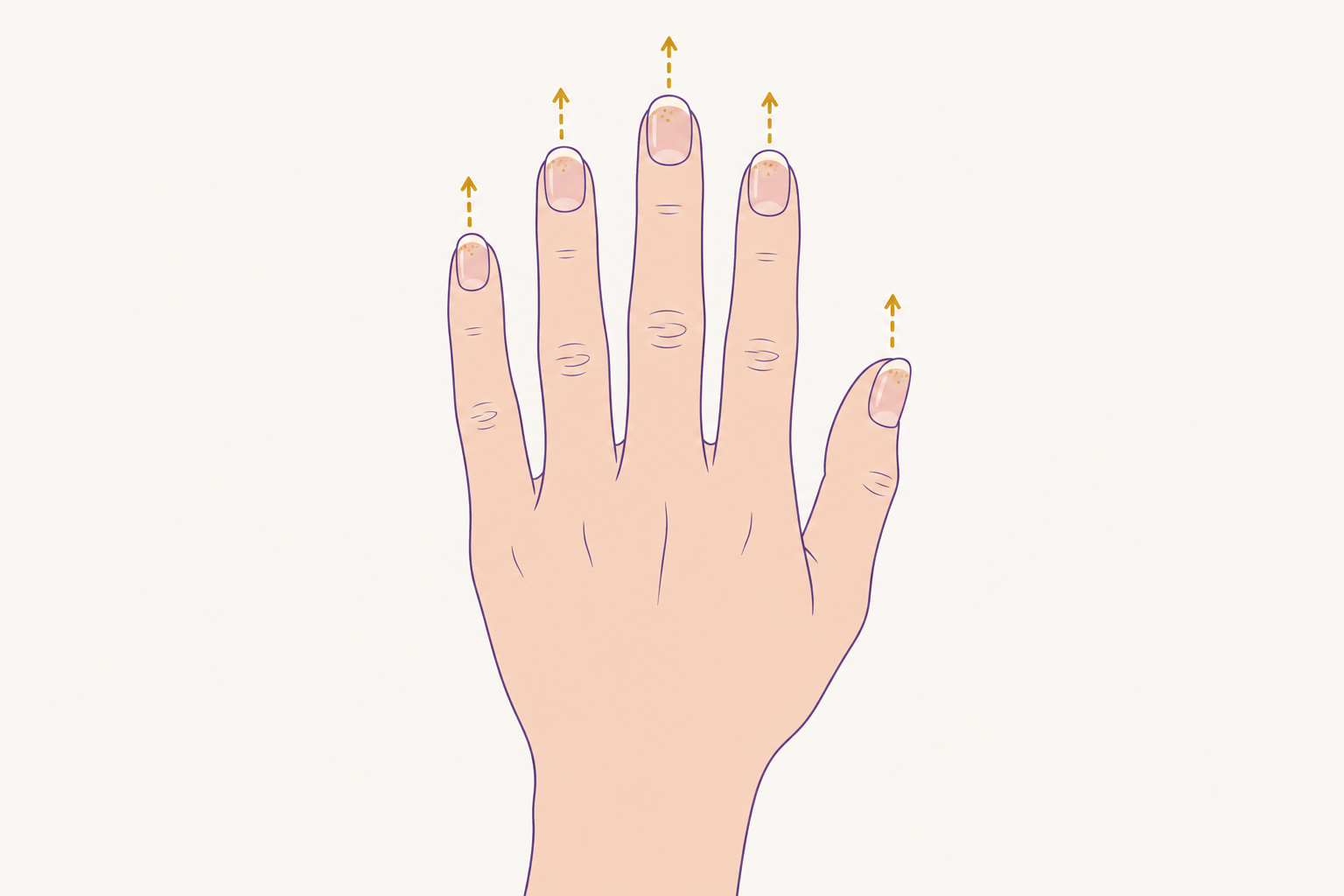 短い爪の先に細いフレンチとラメをのせた手のイラスト。指先から上に向かう矢印で、目線が先端へ向かう様子を表している
